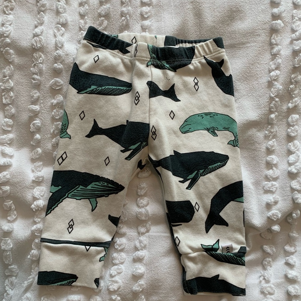 Modern Baby Whale Patterned Pants in 3-6M